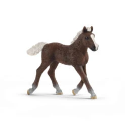 Schleich 13899 Schwarzwalder Veulen HorseClub