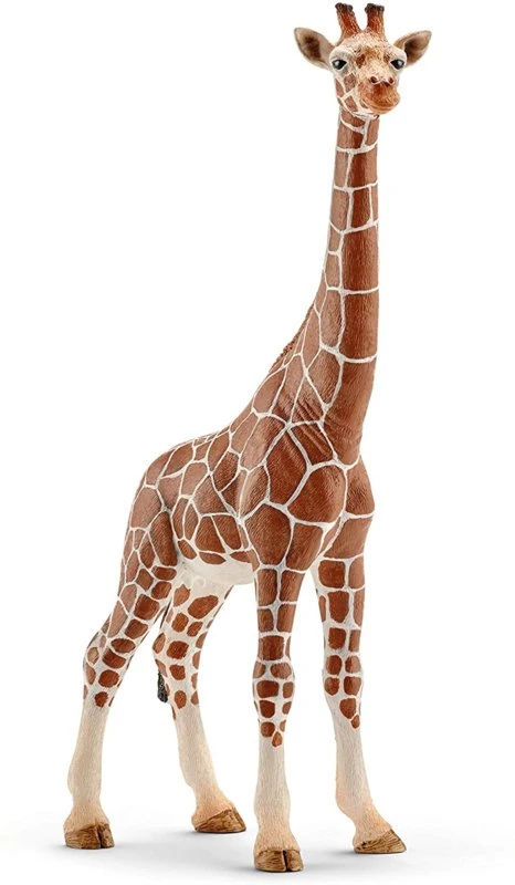 Schleich 14749 Giraffe Mannetje WildLife - Afbeelding 2
