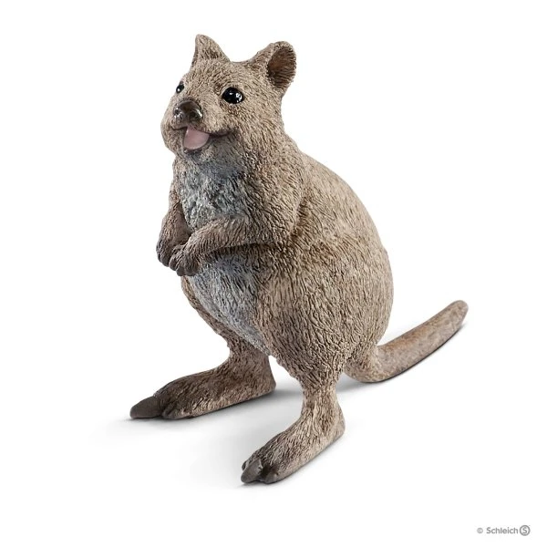 Schleich 14823 Quokka WildLife - Afbeelding 2